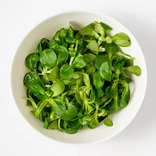 Matovilac salata