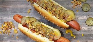 Yummy dog