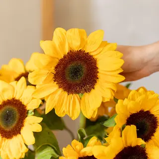 Ramo de 5 girasoles