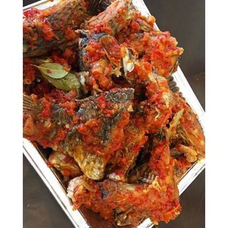 Peppered Croaker
