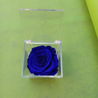 Rosa stabilizzata blu