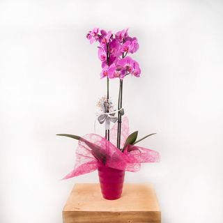 Mini Orquídea Rosa Con Cristal