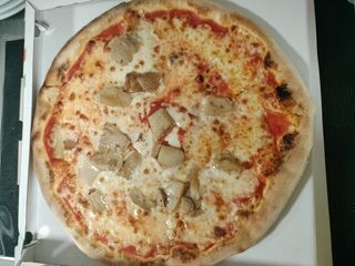 Funghi porcini