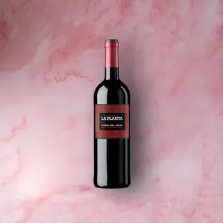 La Planta DO Ribera del Duero