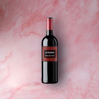 La Planta DO Ribera del Duero