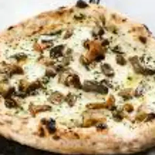Funghi