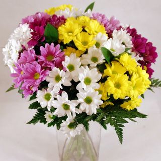 Ramo variado de margaritas