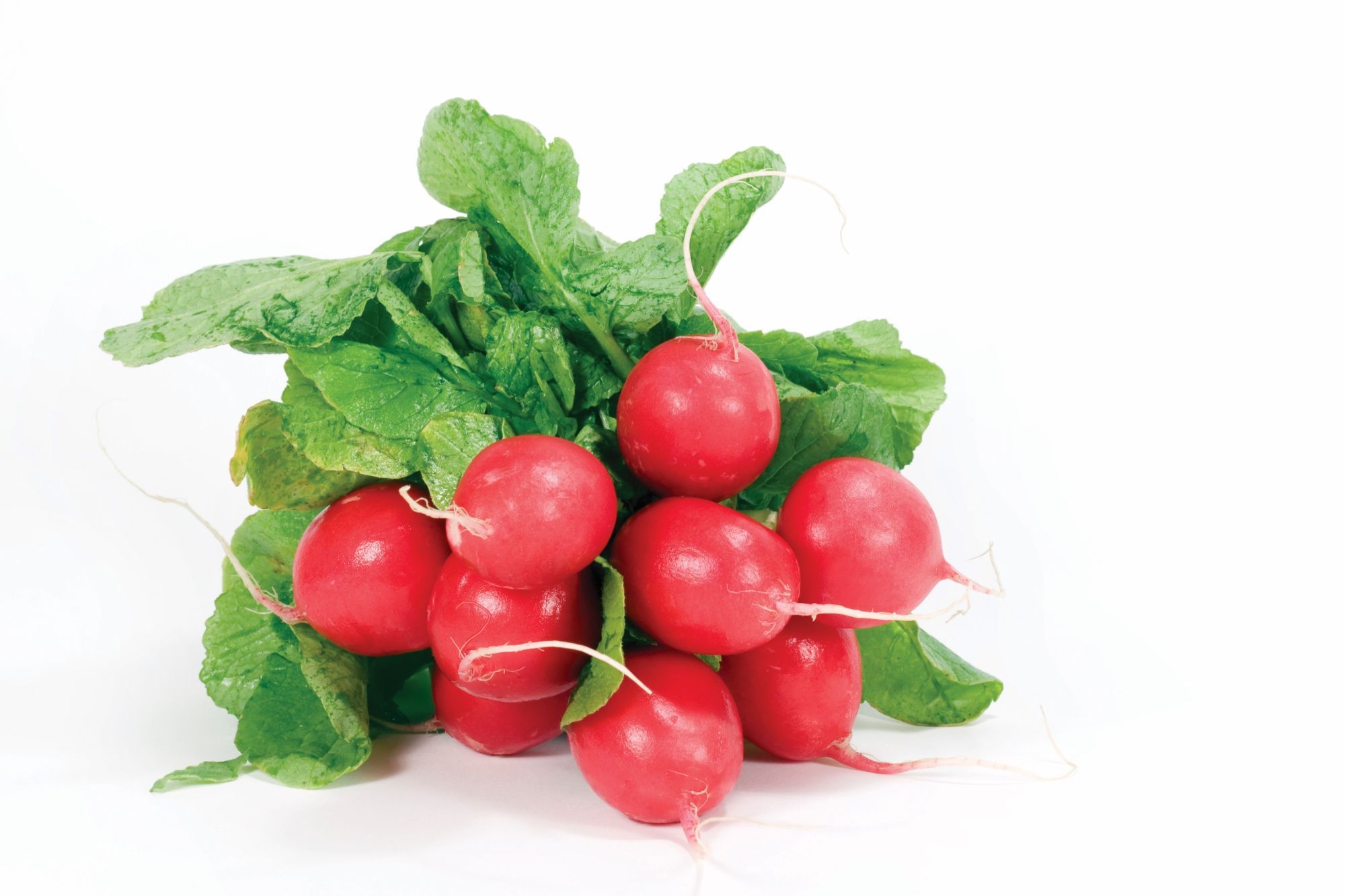 Fructe si legume Romanesti