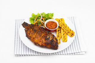 Tilapia Fish