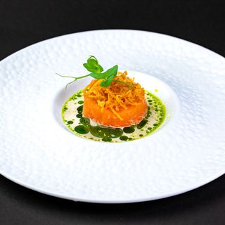 194. TARTARE EVERGREEN