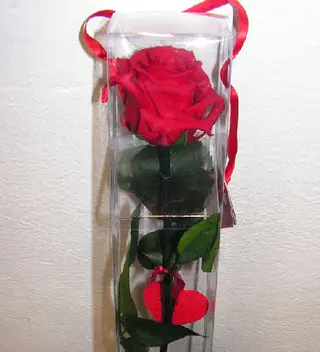 Rosa Eterna