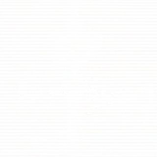 Quesadilla de cogumelos (Vegetariano)