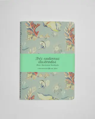 Conjunto de 3 Cadernos