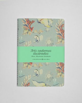 Conjunto de 3 Cadernos