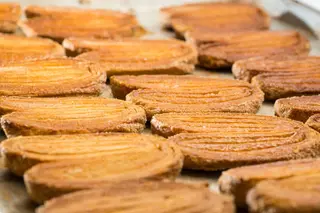 Palmier Simples
