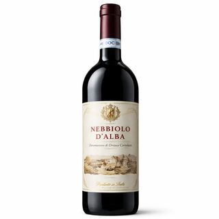 Nebbiolo D' Alba - Piemonte