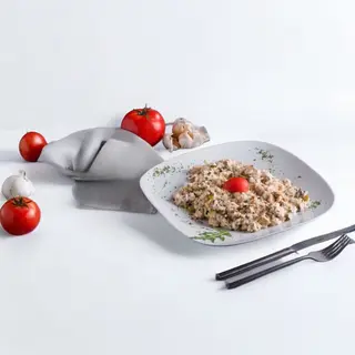 Risotto u imperijal sosu