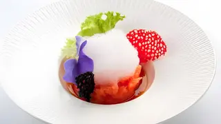 Tartar Sake