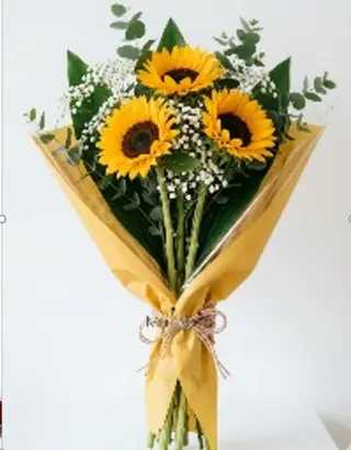 3 girasoli