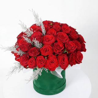 Композиція"Лід і полум'я"