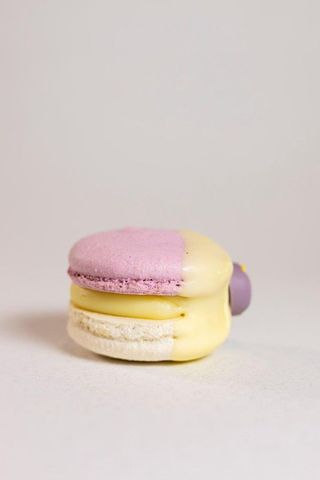 Macarons philadelphia afine 1/70