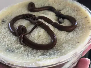 Bolo no pote de ninho com Nutella 