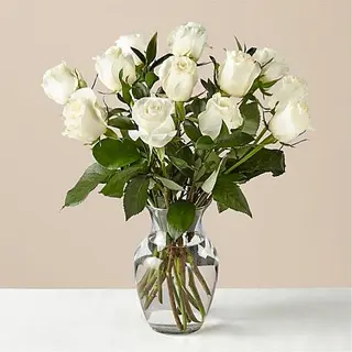 Docena Rosas Blancas