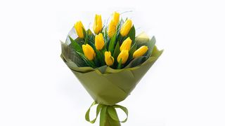 Buket od 11 žutih lala