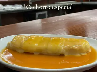 Cachorro Especial com Molho