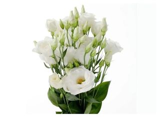 7 Еустоми, Бели | 1 piece