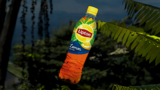 Lipton lamaie
