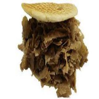 Pita Kebab Solo Carne