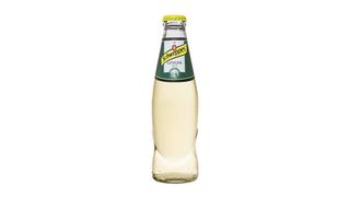 Ginger Ale 250 ml