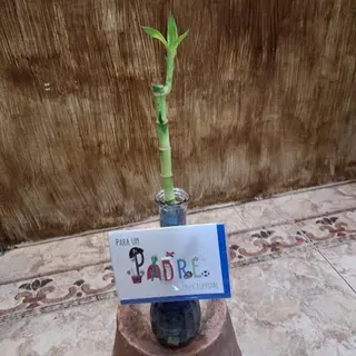 Jarrón con cañas de bambú y tarjeta "Padre"