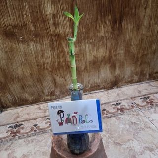 Jarrón con cañas de bambú y tarjeta "Padre"