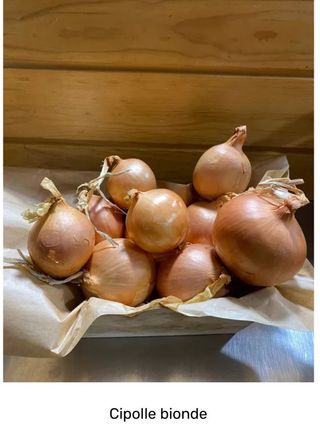 Cipolle bionde Italia 500 g