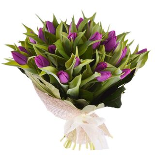 Buchet 39 lalele mov