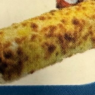 Durum Gratinado Solo Carne