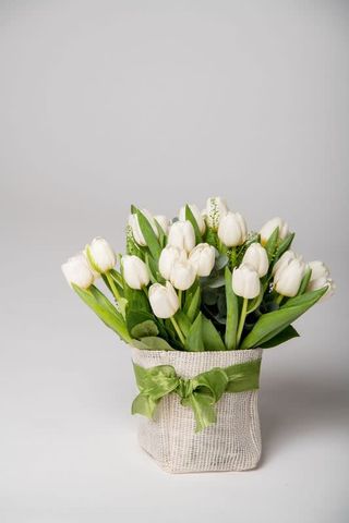 Tulipani bianchi in un bellissimo sacchettino  di juta piccolo