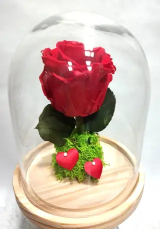 Rosa Eterna