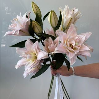 Ramo de 5 Lilium Lotos Rosado