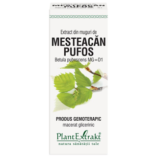 Extract din muguri de mesteacan pufos 50 ml (BETULA PUB)