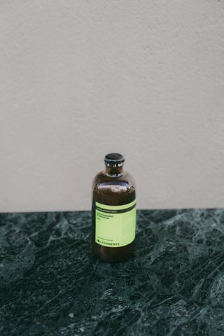 Kombucha | Moringa, Jengibre Y Menta