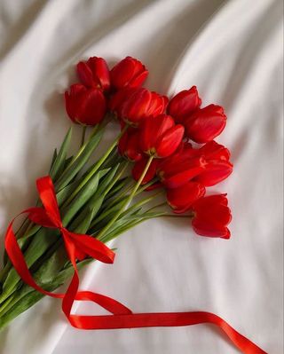 წითელი ტიტები (20ცალი)