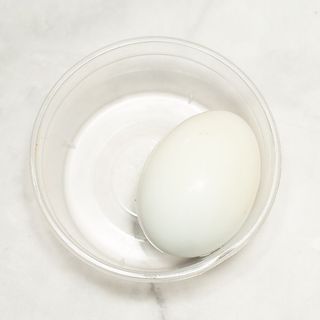 Egg
