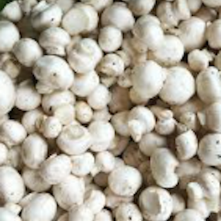 CHAMPIÑON BLANCO BOTON 500 GR APROX 