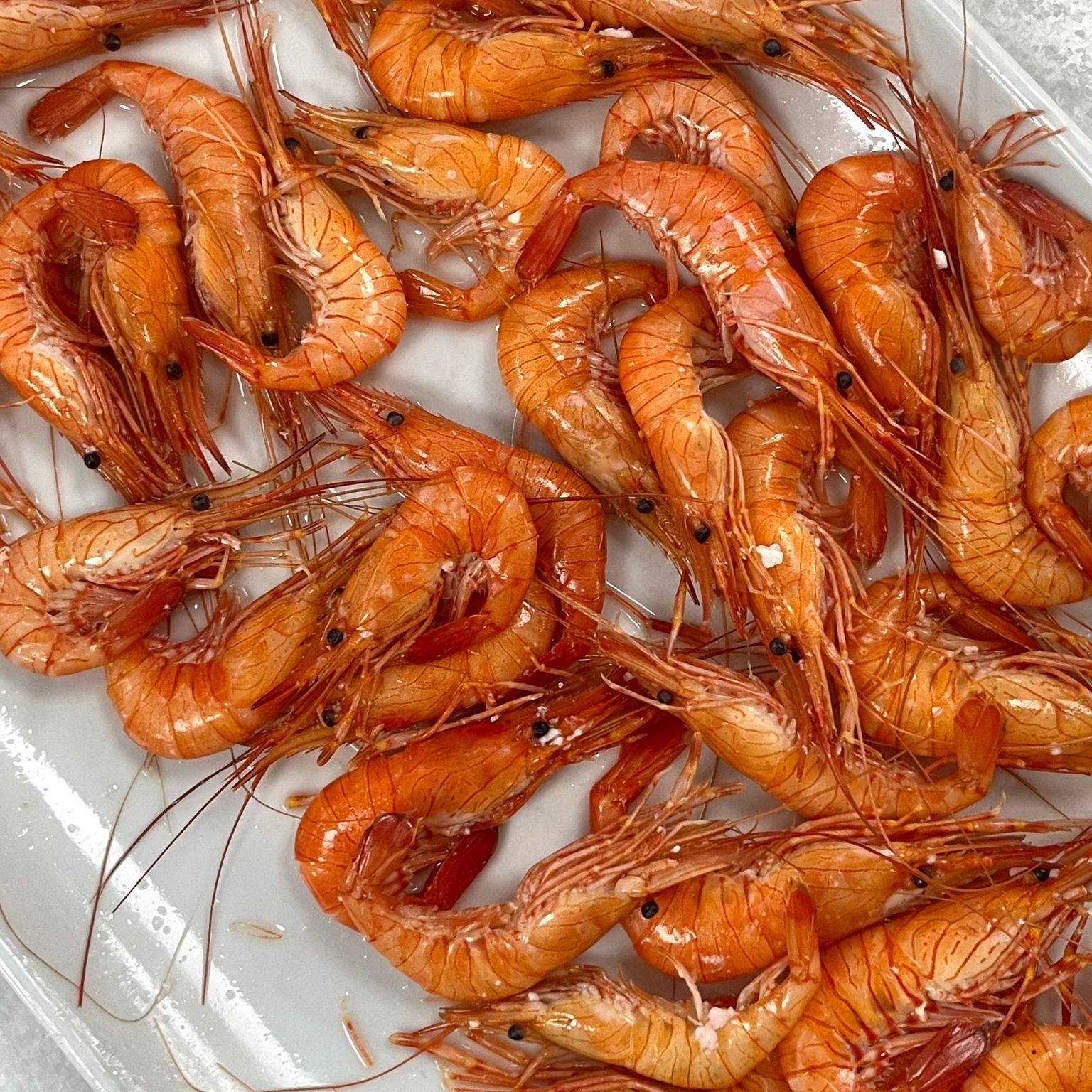 Camarones