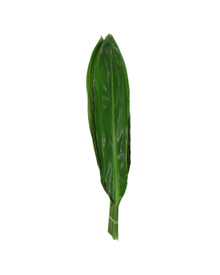 Aspidistra Flor Suelta (Por Unidad/Nos son ramos/No bouquet)
