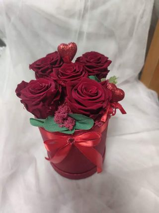 Flower box trajna ruža 34