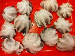 Polipetti (moscardino) pulito